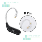 Pin B